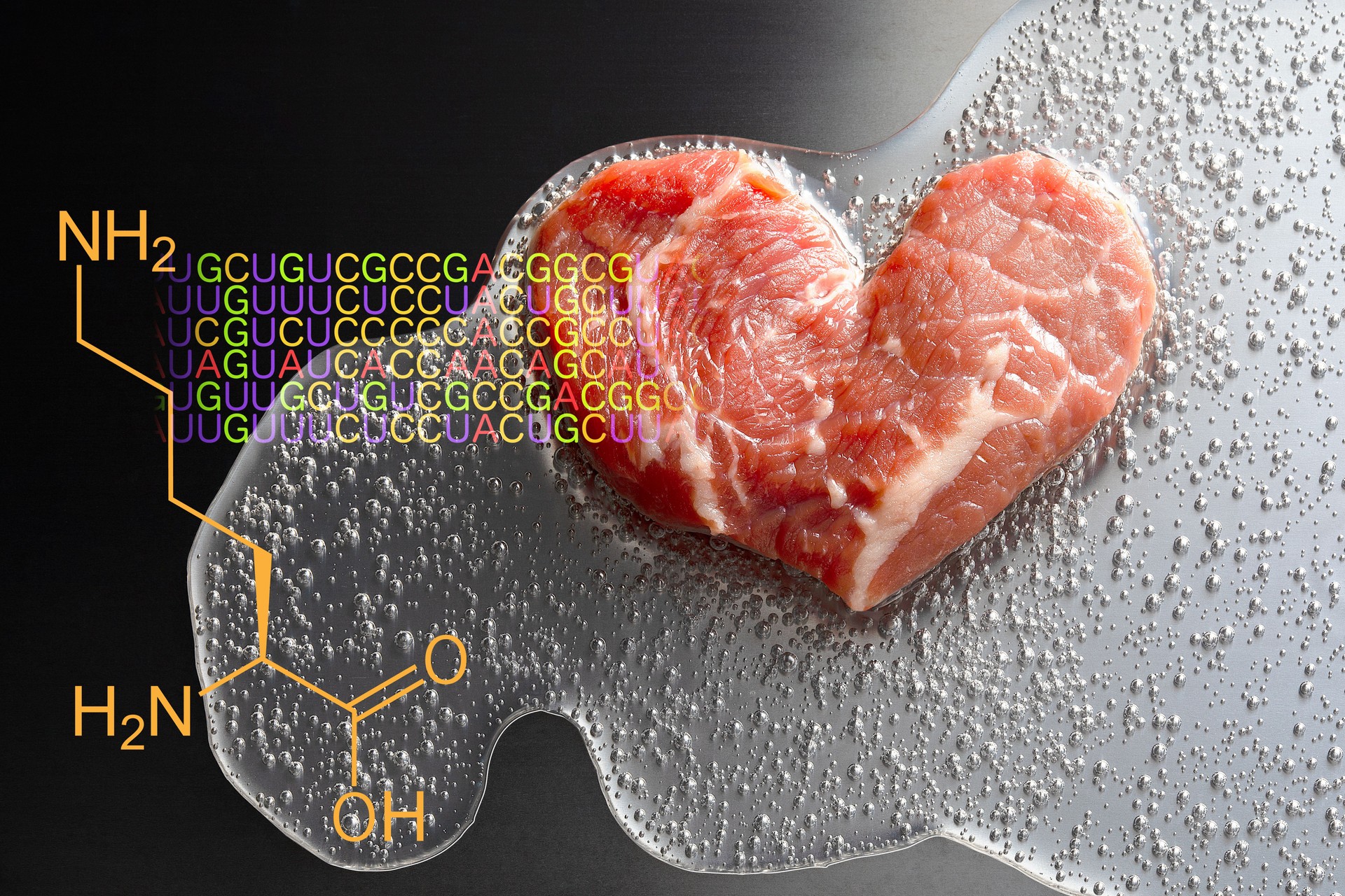Heart-shaped beef artificial meat and foaming broth. The background is the amino acid lysine chemical formula and mRNA code